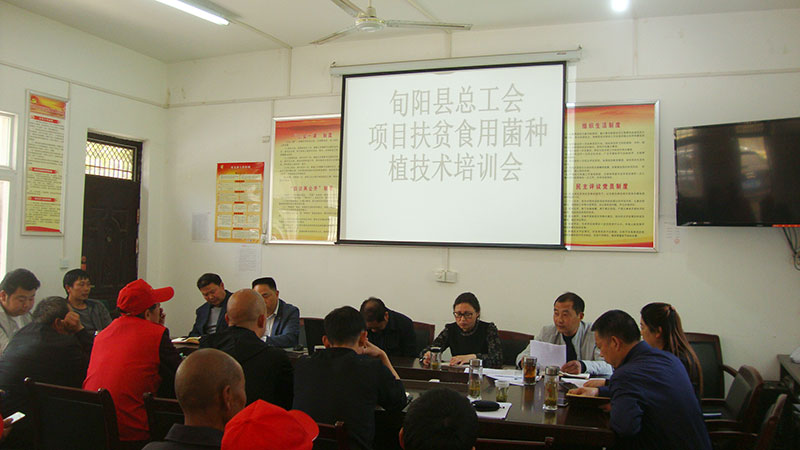 国桦农林